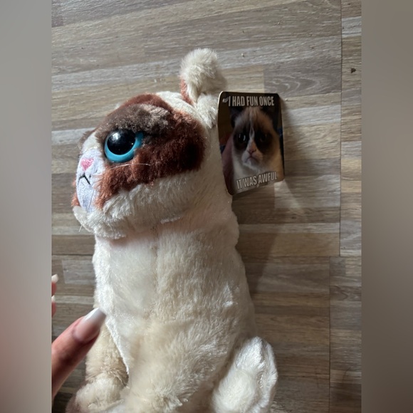NWT✨iconic Plush Grumpy Cat “I had fun once it was awful” 😾 - Picture 2 of 6